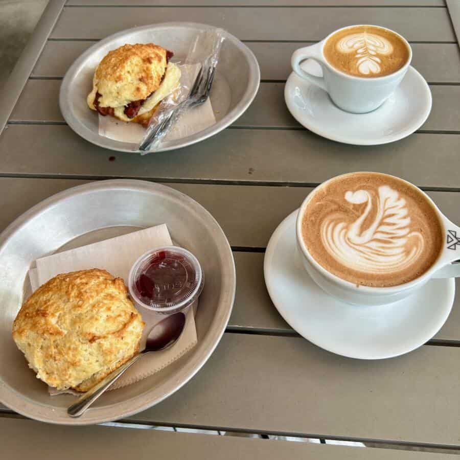 Where Do Locals Eat? A Guide to the Best Restaurants in Raleigh