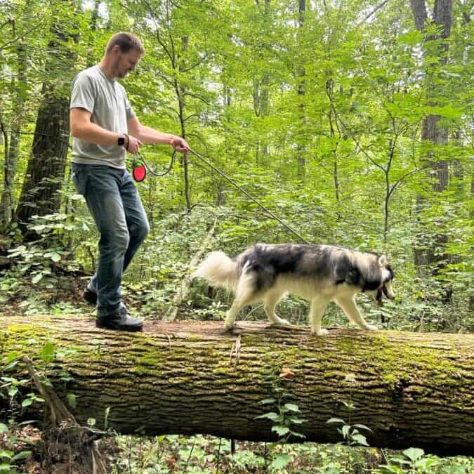 5 Best North Carolina Destinations to Visit With a Dog